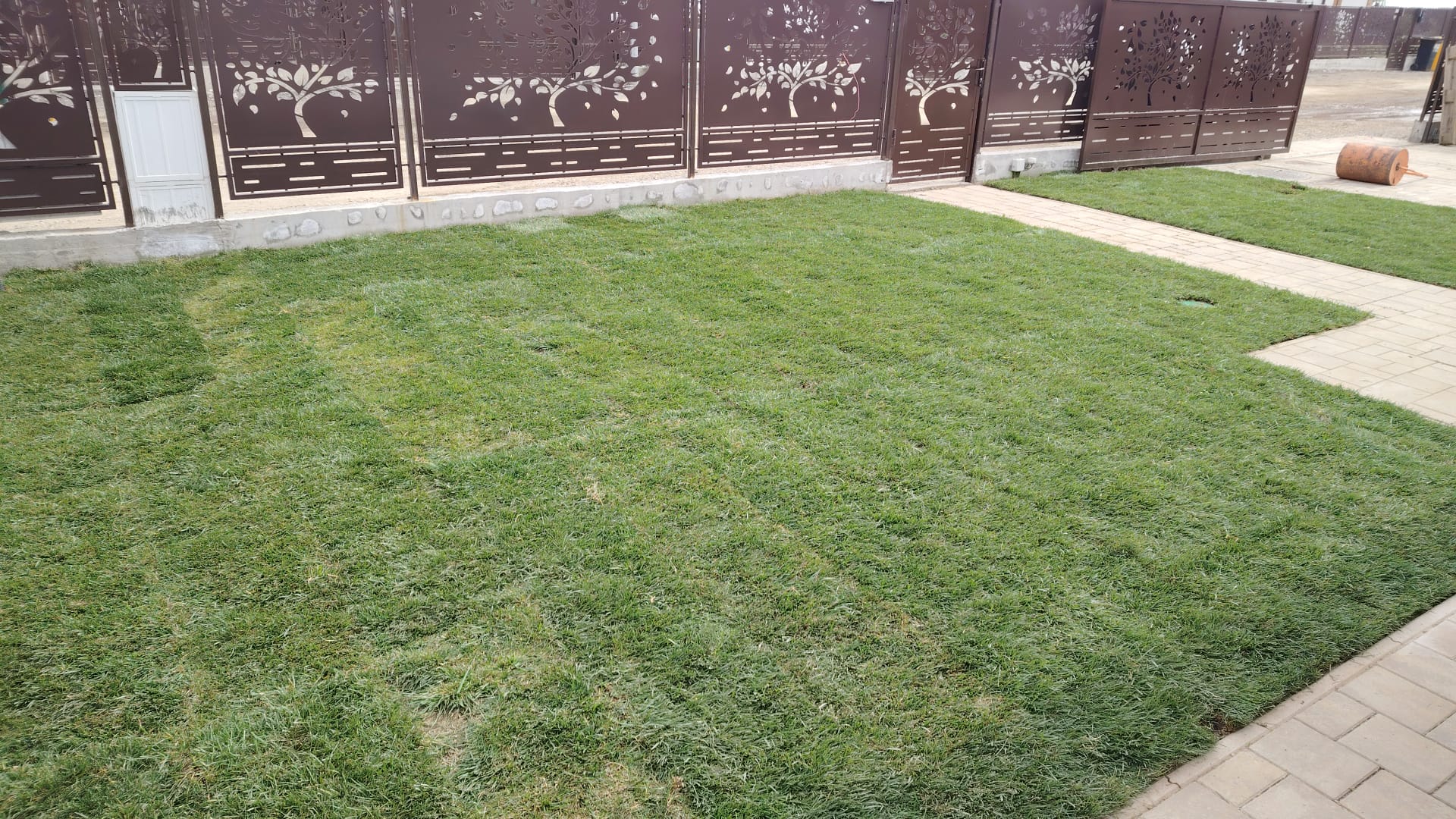 IMG-20250410-WA0020