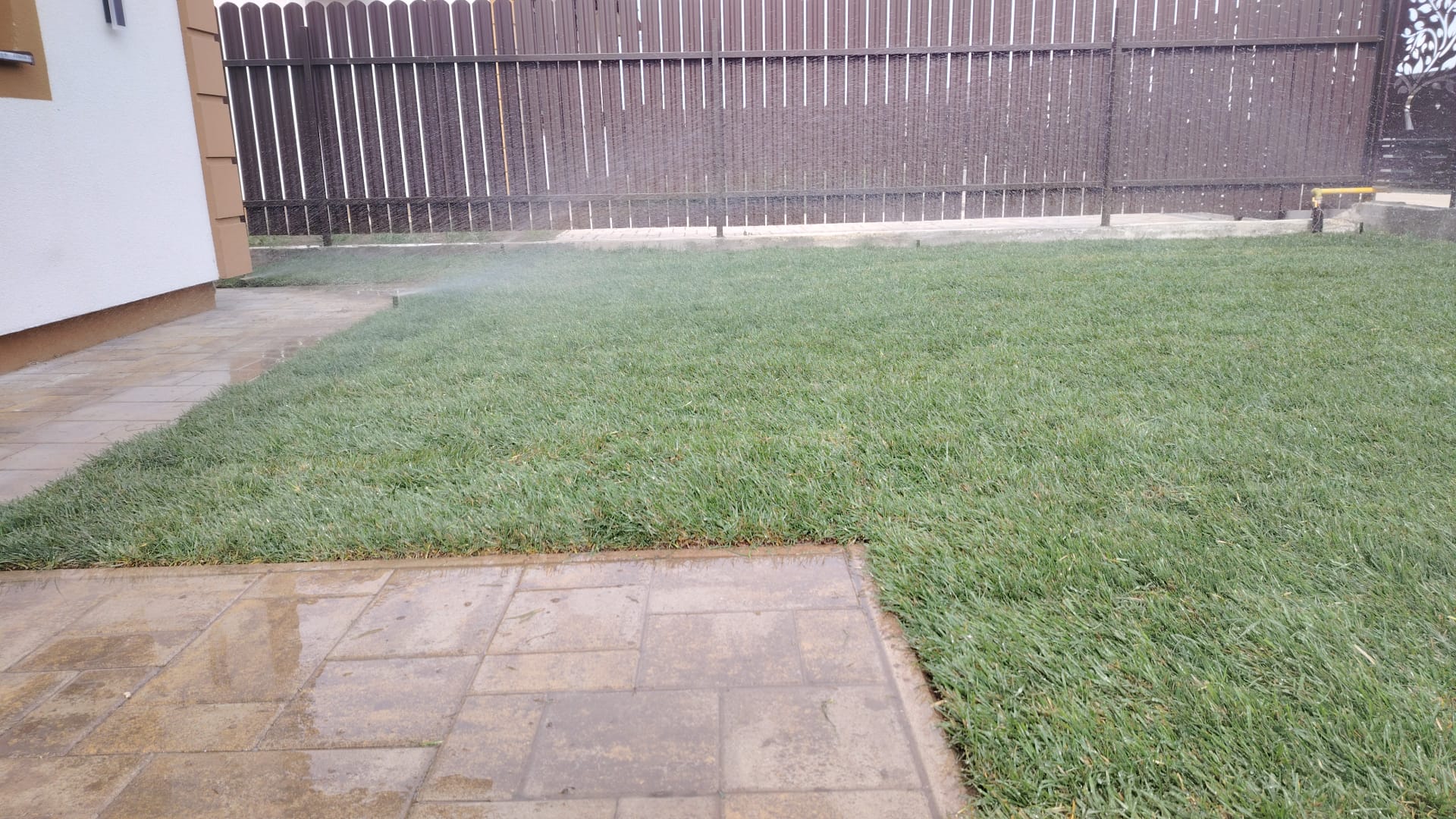 IMG-20250410-WA0022