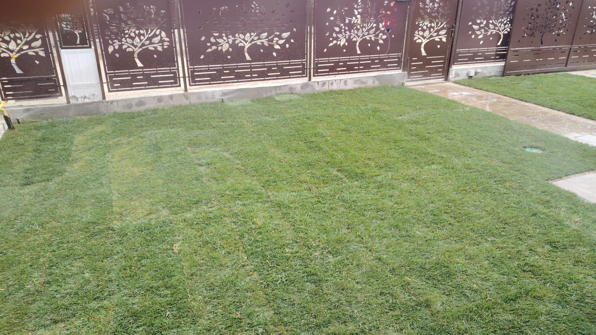 IMG-20250410-WA0025